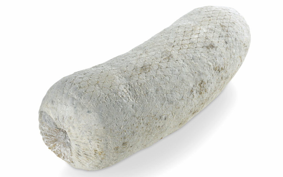 Finocchiona