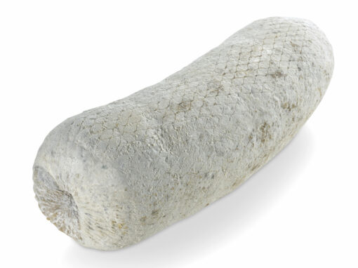 Finocchiona