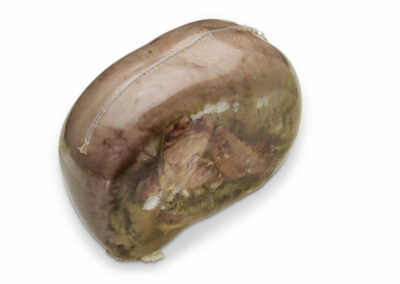 Rundertong